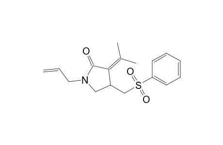 1-Allyl-4-(benzenesulfonylmethyl)-3-isopropylidene-pyrrolidin-2-one