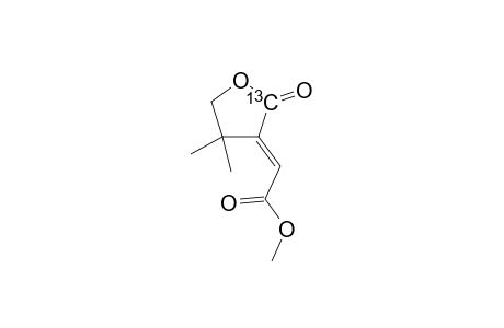 (E)-Methyl 4,4-Dimethyl-2-oxotetrahydro(2-13C)furan-3-ylideneacetate