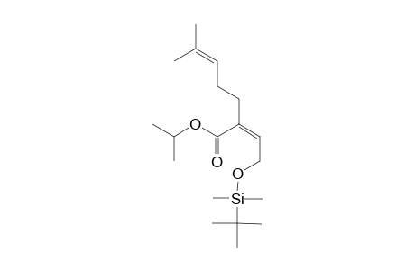 ISOPROPYL-(2Z)-2-[2-[[TERT.-BUTYL-(DIMETHYL)-SILYL]-OXY]-ETHYLIDENE]-6-METHYL-HEPT-5-ENOATE