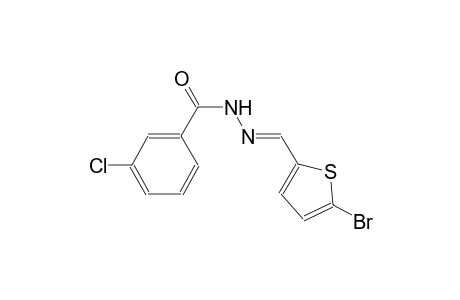 N'-[(E)-(5-bromo-2-thienyl)methylidene]-3-chlorobenzohydrazide