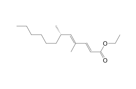 Ethyl (2E,4E,6S)-4,6-Dimethyl-2,4-dodecadienate