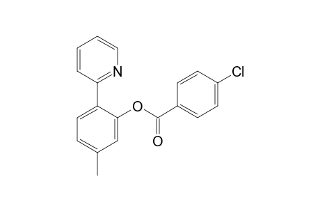 5-Methyl-2-( pyridin-2-yl)phenyl 4-chlorobenzoate