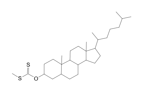 Cholestan-3-ol, methyl carbonodithioate, (3.beta.,5.alpha.)-