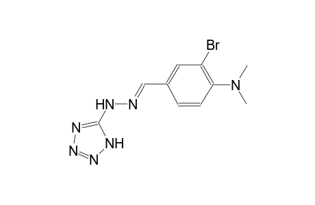 3-bromo-4-(dimethylamino)benzaldehyde 1H-tetraazol-5-ylhydrazone