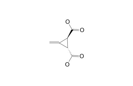 (1S,2S)-(-)-3-METHYLENECYCLOPROPANE-1,2-DICARBOXYLIC-ACID