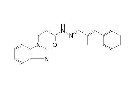 3-(1H-benzimidazol-1-yl)-N'-[(E,2E)-2-methyl-3-phenyl-2-propenylidene]propanohydrazide