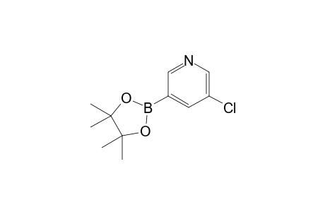 3-(4,4,5,5-Tetramethyl-1,3,2-dioxaborolan-2-yl)-5-chloropyridine