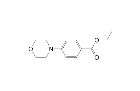 Ethyl p-morpholinobenzoate