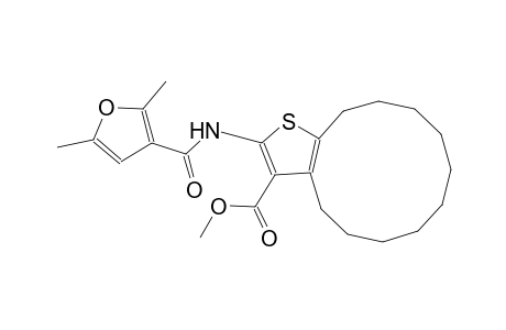 methyl 2-[(2,5-dimethyl-3-furoyl)amino]-4,5,6,7,8,9,10,11,12,13-decahydrocyclododeca[b]thiophene-3-carboxylate