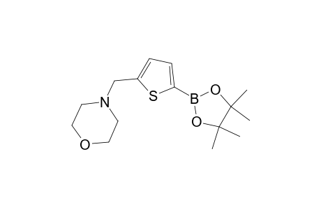 5-(Morpholinomethyl)-2-thiopheneboronic acid pinacol ester