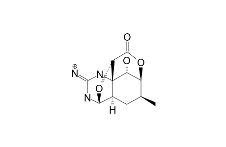 4,9-ANHYDRO-8-EPI-5,6,11-TRIDEOXY-TETRODOTOXIN