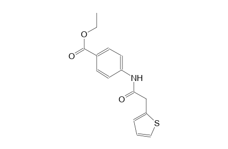 benzoic acid, 4-[(2-thienylacetyl)amino]-, ethyl ester