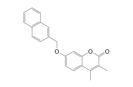 2H-1-Benzopyran-2-one, 3,4-dimethyl-7-(2-naphthalenylmethoxy)-
