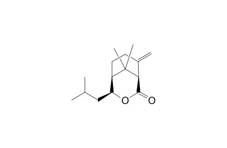 (1S,2S,5R)-2-isobutyl-9,9-dimethyl-6-methylene-3-oxabicyclo[3.3.1]nonan-4-one