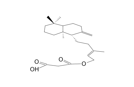 ENT-LABDA-8(17),13-DIEN-15-YL-HYDROGEN-MALONATE