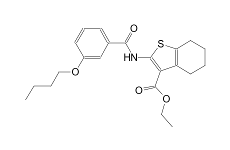 benzo[b]thiophene-3-carboxylic acid, 2-[(3-butoxybenzoyl)amino]-4,5,6,7-tetrahydro-, ethyl ester