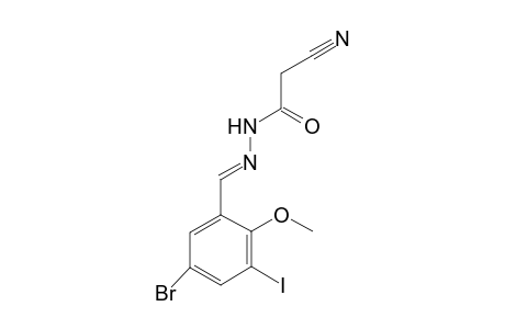 Cyano-acetic acid (5-bromo-3-iodo-2-methoxy-benzylidene)-hydrazide