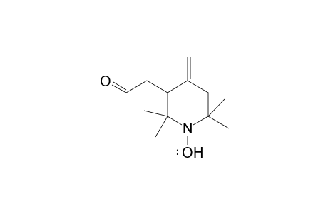 3-Formylmethyl-2,2,6,6-tetramethyl-4-methylenepiperidin-1-yloxy radical