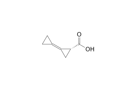 (1R)-2-cyclopropylidenecyclopropane-1-carboxylic acid