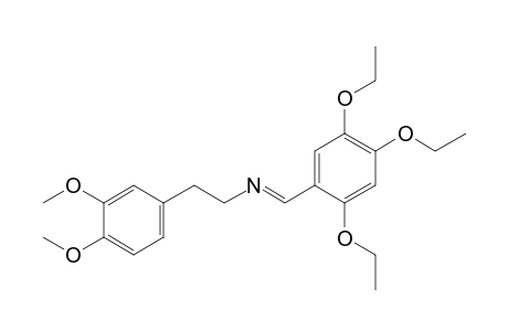3,4-dimethoxy-N-(2,4,5 triethoxybenzylidene)phenethylamine
