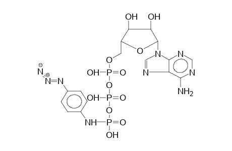 ADENOSINE-5'-TRIPHOSPHATE, 4-AZIDOANILIDE