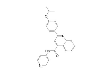 2-(4-isopropoxyphenyl)-N-(4-pyridinyl)-4-quinolinecarboxamide