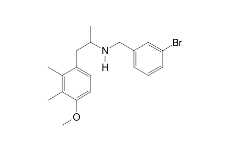 2,3-DiMe-4-MA N-(3-bromobenzyl)