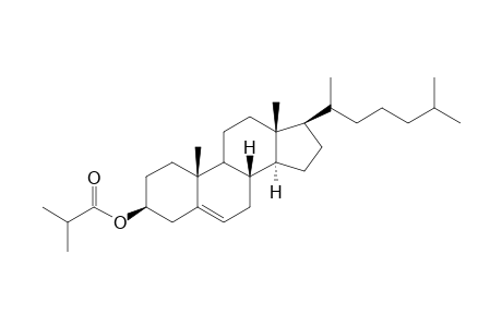 Cholesteryl iso-butyrate