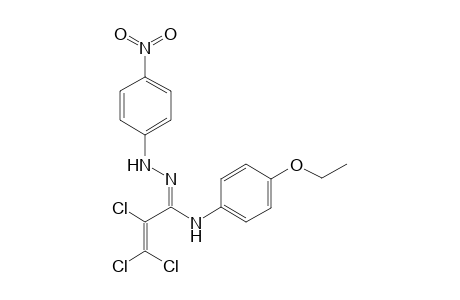 N-[1-(4-Ethoxyphenylamino-2,3,3-trichloroallylidene]-N'-(4-nitrophenyl)hydrazine