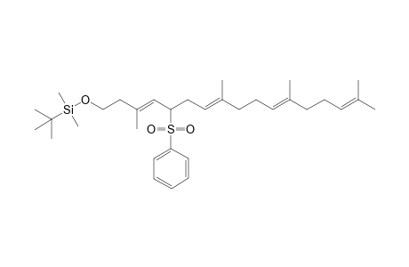 5-(Benzenesulfonyl)-1-[(tert-butyldimethylsilyl)oxy]-3,8,12,16-tetramethyl-3(E),7(E),11(E),15-heptadecatetraene