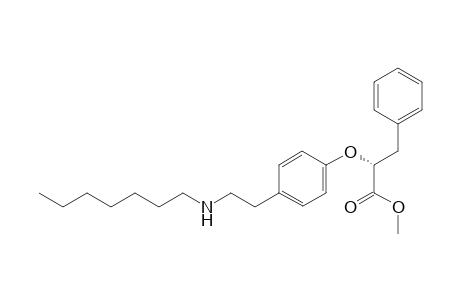 R-Methyl 2-[4-(2-heptylamino-ethyl)phenoxy]-3-phenyl-propanoate