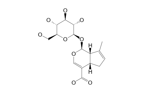 10-DEOXYGENIPOSIDIC-ACID