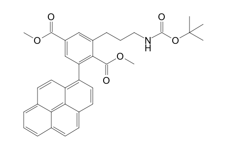 2-(3-tert-Butoxycarbonylaminopropyl)-6-pyren-1-ylterephthalic acid dimethyl ester
