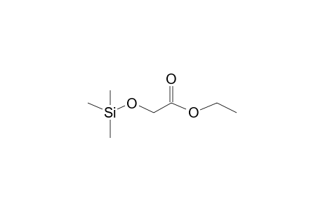 Ethyl glycolate, tms