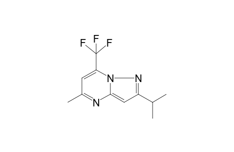 2-Isopropyl-5-methyl-7-(trifluoromethyl)pyrazolo[1,5-a]pyrimidine