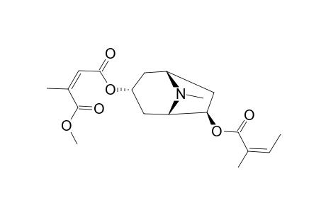 3.alpha.-(1-Methylcitraconyl)-6.beta.-angeloyloxytropane