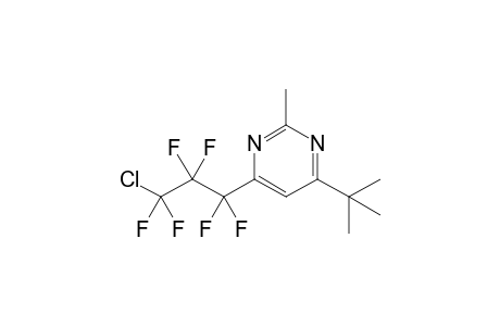 4-tert-Butyl-6-(.omaga.-chlorohexafluoropropyl)-2-methylpyrimidine