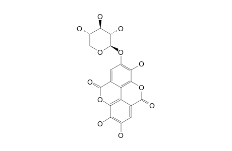 ELLAGIC-ACID-4-O-XYLOPYRANOSIDE