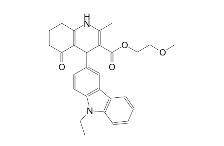 2-methoxyethyl 4-(9-ethyl-9H-carbazol-3-yl)-2-methyl-5-oxo-1,4,5,6,7,8-hexahydro-3-quinolinecarboxylate
