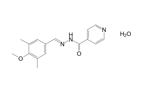 isonicotinic acid, (3,5-dimethyl-4-methoxybenzylidene)hydrazide, monohydrate