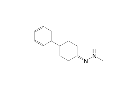 4-Phenylcyclohexanone N-methylhydrazone