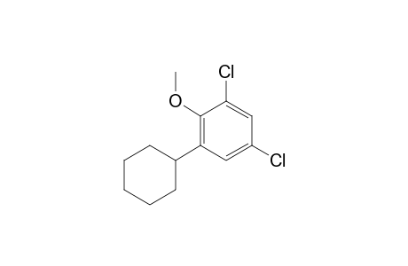 1,5-bis(chloranyl)-3-cyclohexyl-2-methoxy-benzene