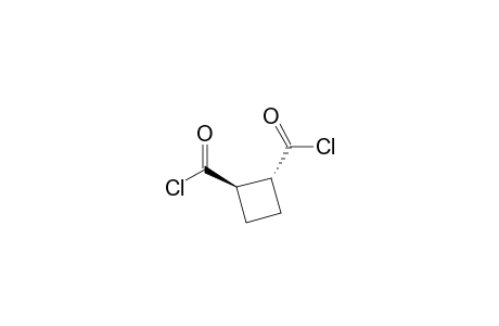 trans-1,2-Cyclobutanedicarbonyl dichloride