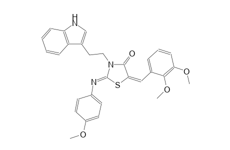 (2Z,5E)-5-(2,3-dimethoxybenzylidene)-3-[2-(1H-indol-3-yl)ethyl]-2-[(4-methoxyphenyl)imino]-1,3-thiazolidin-4-one