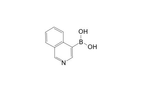 4-Isoquinolinylboronic acid
