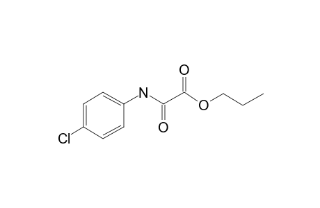 Oxalic acid, monoamide, N-(4-chlorophenyl)-, propyl ester