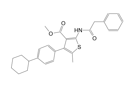 methyl 4-(4-cyclohexylphenyl)-5-methyl-2-[(phenylacetyl)amino]-3-thiophenecarboxylate