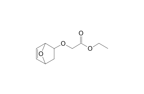 Ethyl [(7'-oxabicyclo[2.2.1]hept-5'-en-2'-yl)oxy]-acetate