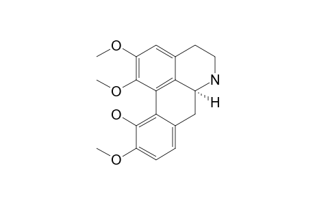 Norisocorydine