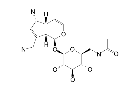 6,10-DIAMINO-6'-N-ACETYLAMINO-6,10,6'-TRIDEOXYAUCUBIN
